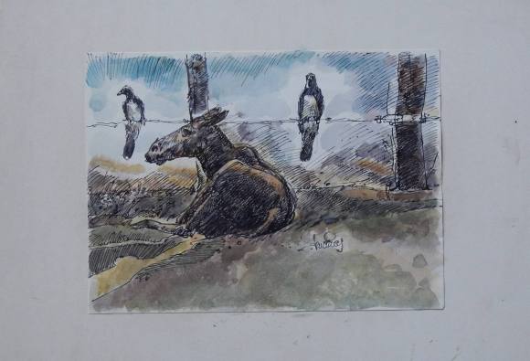 Carlos Enrique Lencinas Gómez. Acuarela y tinta sobre papel. ”Burro y palomas”. Firmado a mano. Montada en cartón pluma. 25x35 cm. El dibujo mide 17x23 cm. 